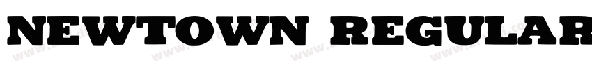 Newtown Regular字体转换